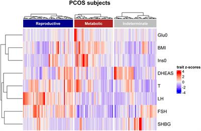 Serum fatty acid profiles associated with metabolic risk in women with polycystic ovary syndrome